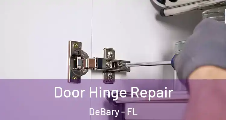 Door Hinge Repair DeBary - FL
