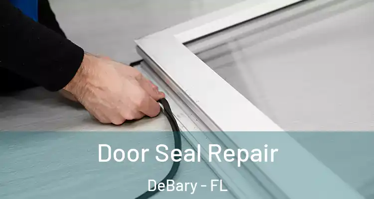 Door Seal Repair DeBary - FL