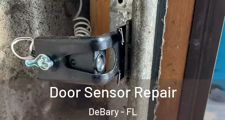 Door Sensor Repair DeBary - FL