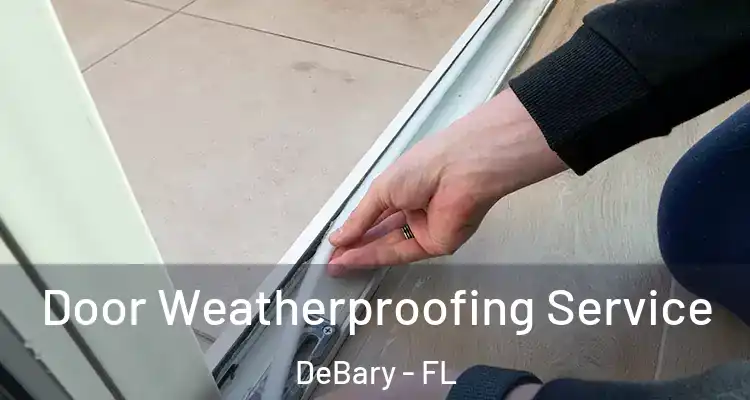 Door Weatherproofing Service DeBary - FL