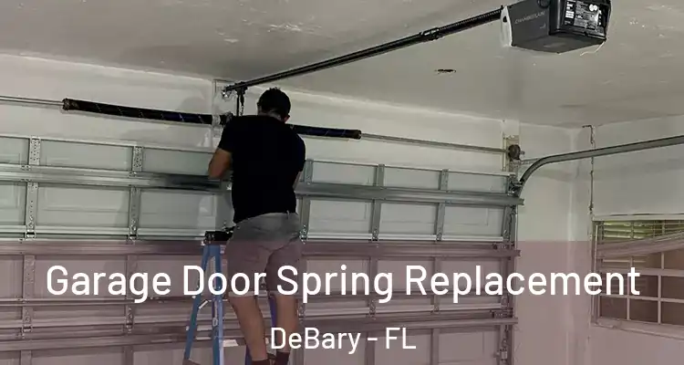 Garage Door Spring Replacement DeBary - FL