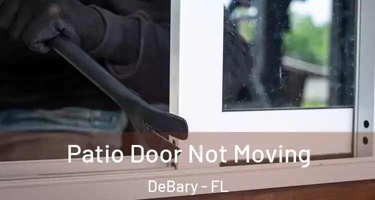 Patio Door Not Moving DeBary - FL
