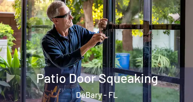 Patio Door Squeaking DeBary - FL