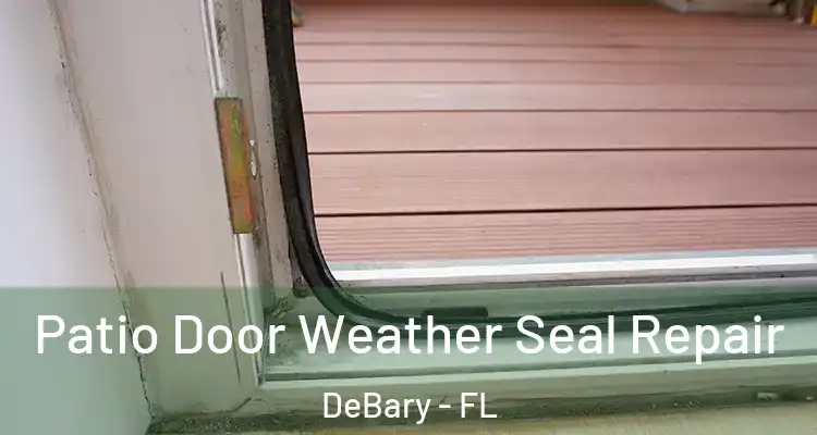 Patio Door Weather Seal Repair DeBary - FL
