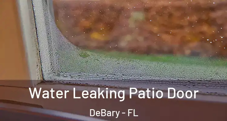 Water Leaking Patio Door DeBary - FL