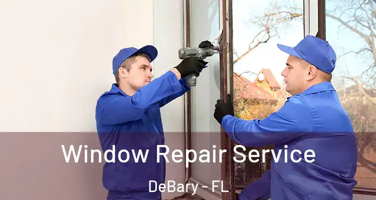 Window Repair Service DeBary - FL