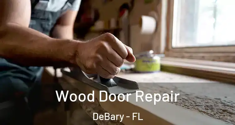 Wood Door Repair DeBary - FL
